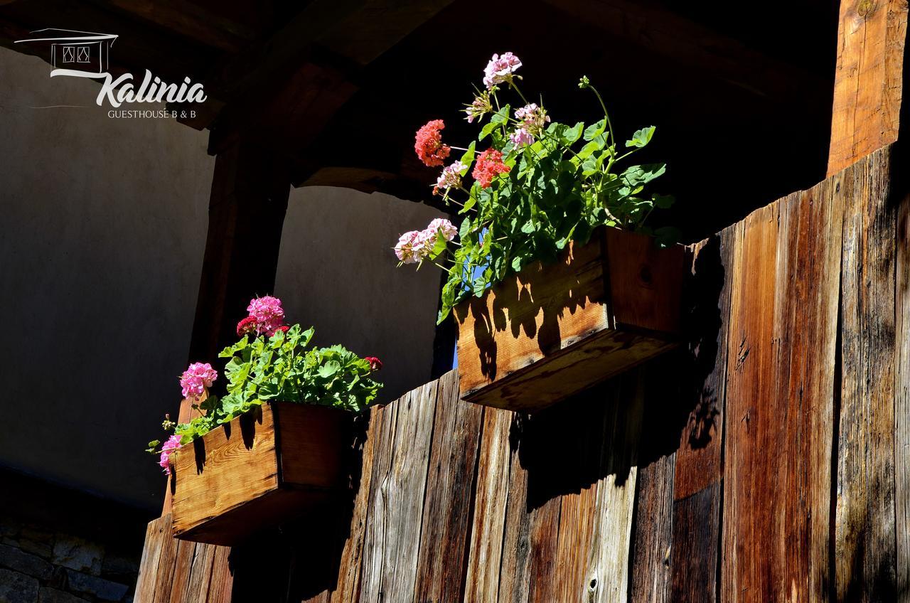 Kalinia Guesthouse B&B Kovacevica Exterior photo