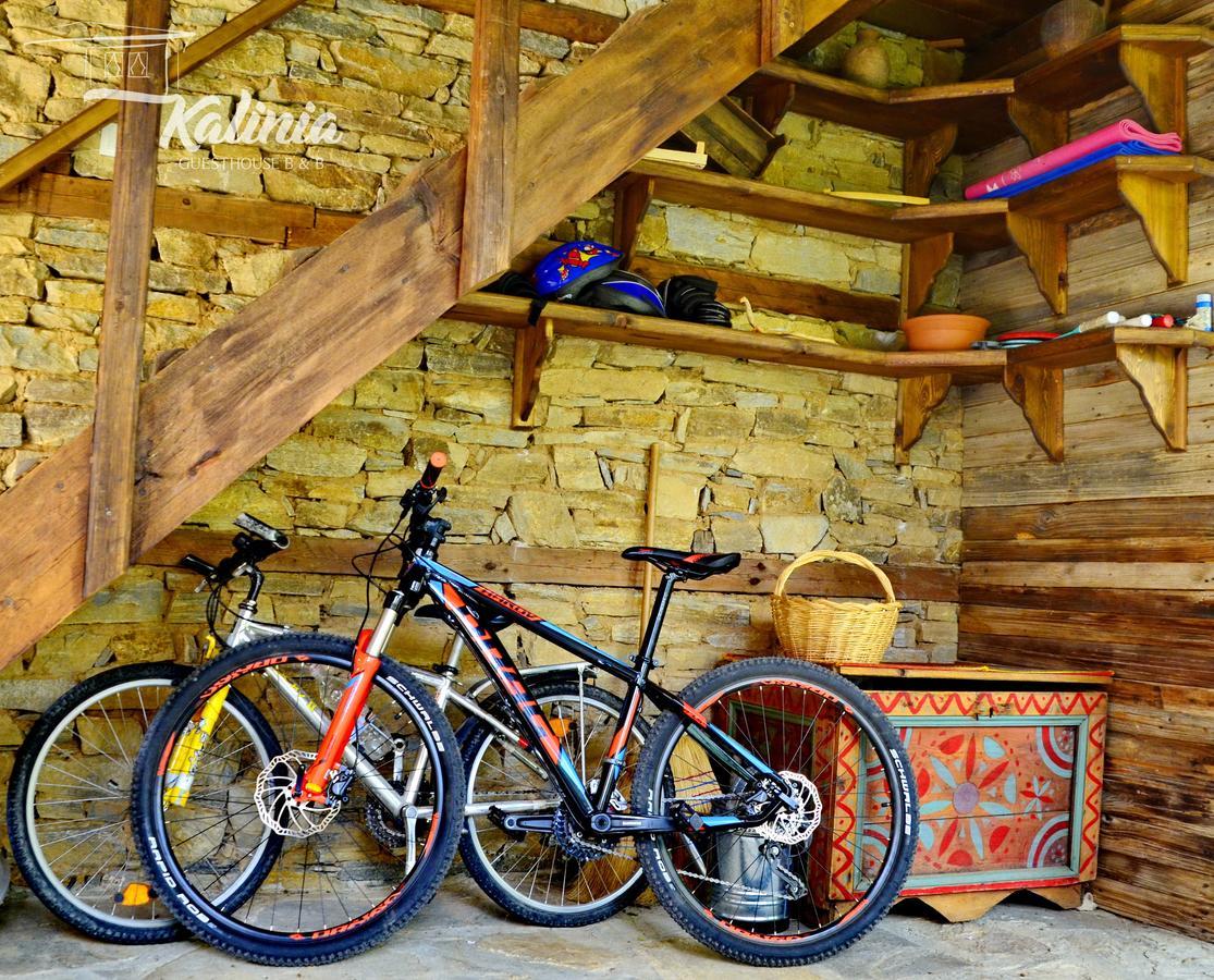 Kalinia Guesthouse B&B Kovacevica Exterior photo