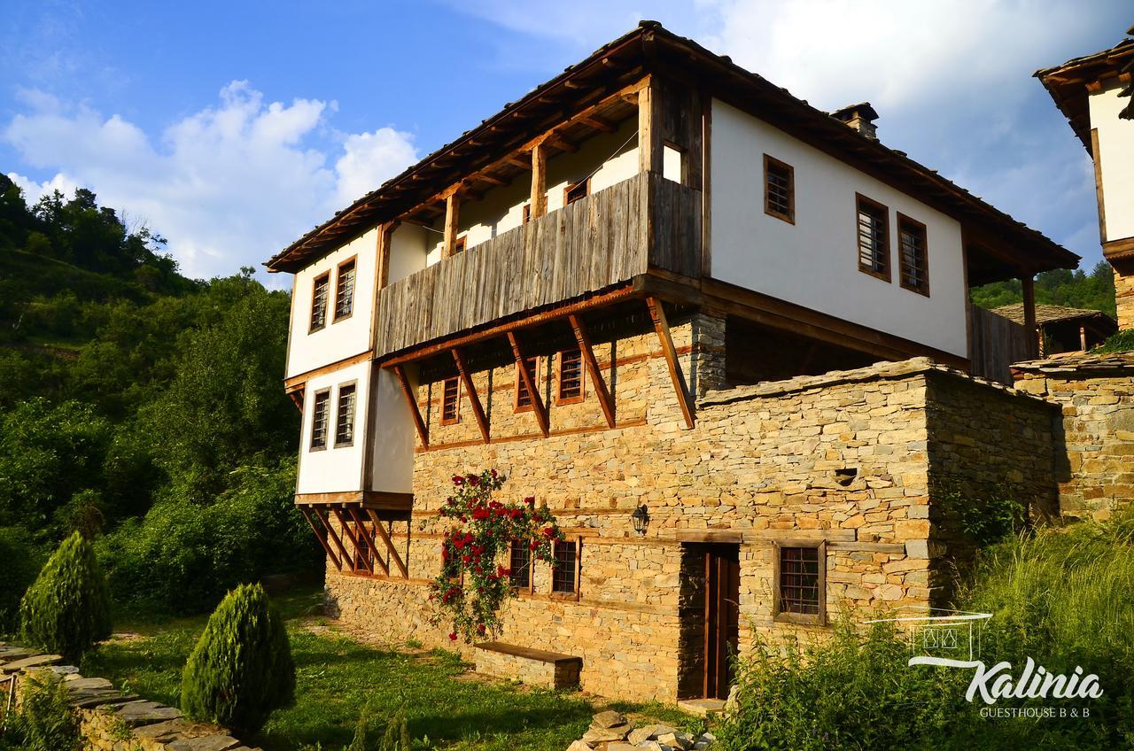 Kalinia Guesthouse B&B Kovacevica Exterior photo