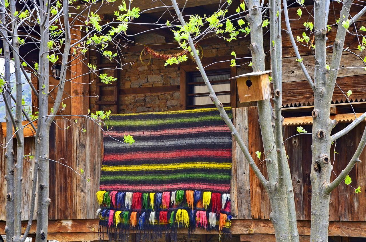 Kalinia Guesthouse B&B Kovacevica Exterior photo