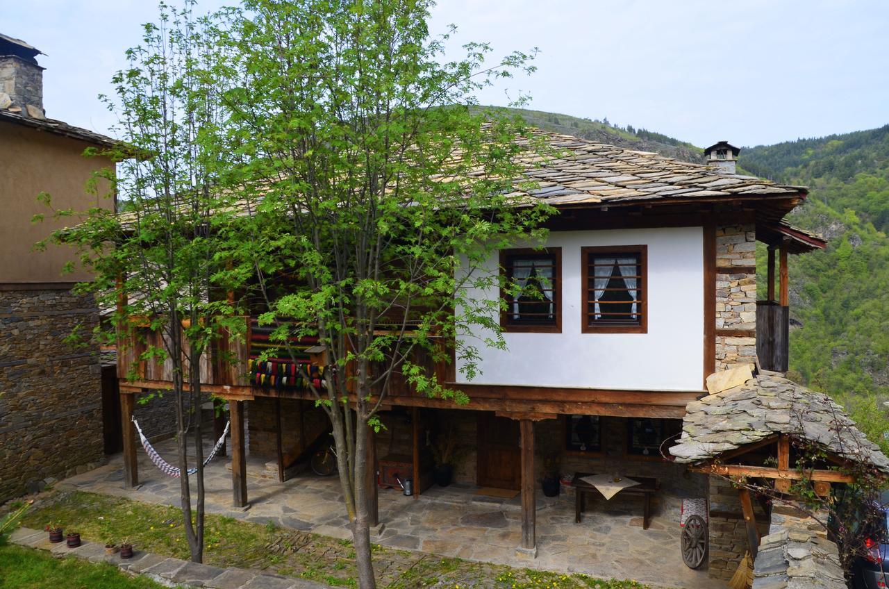 Kalinia Guesthouse B&B Kovacevica Exterior photo