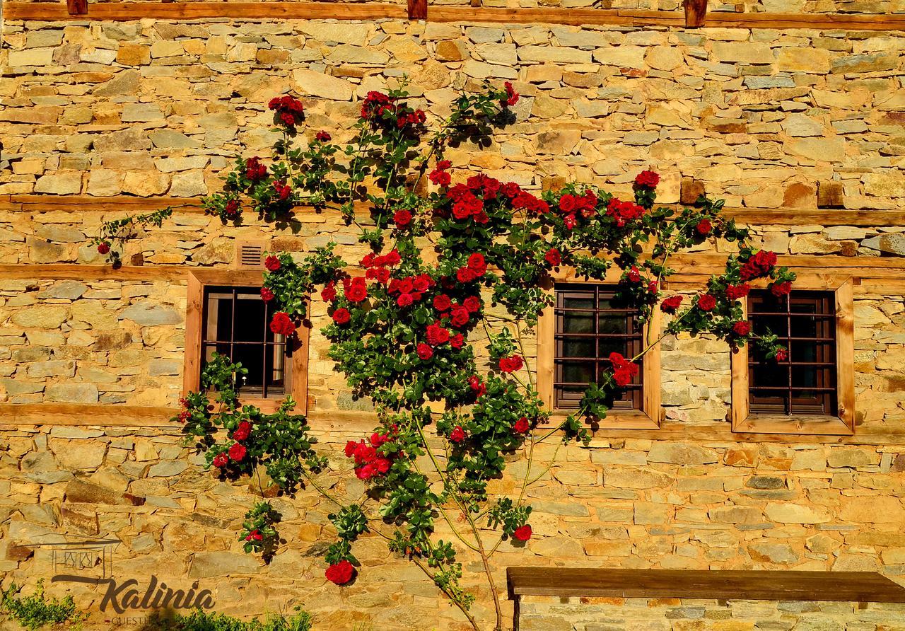 Kalinia Guesthouse B&B Kovacevica Exterior photo