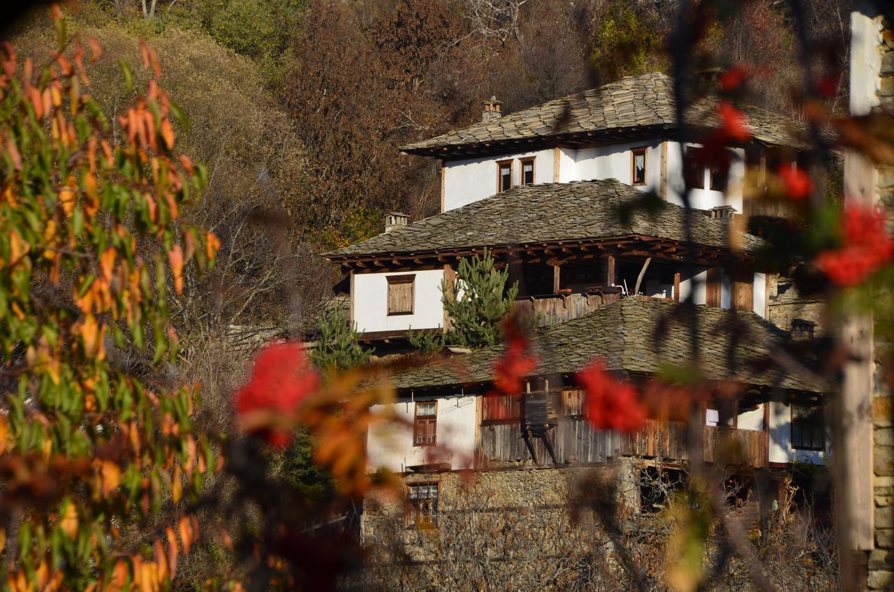 Kalinia Guesthouse B&B Kovacevica Exterior photo
