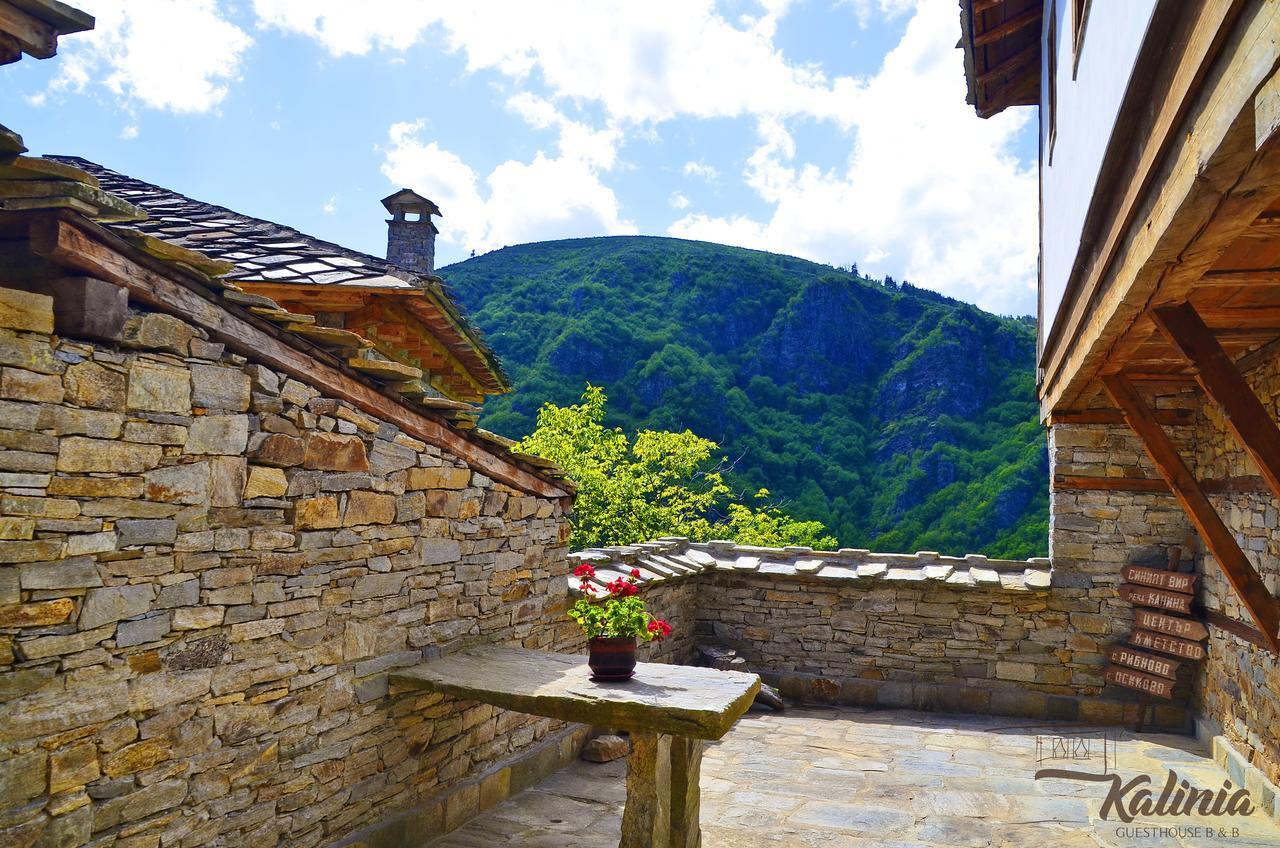 Kalinia Guesthouse B&B Kovacevica Exterior photo