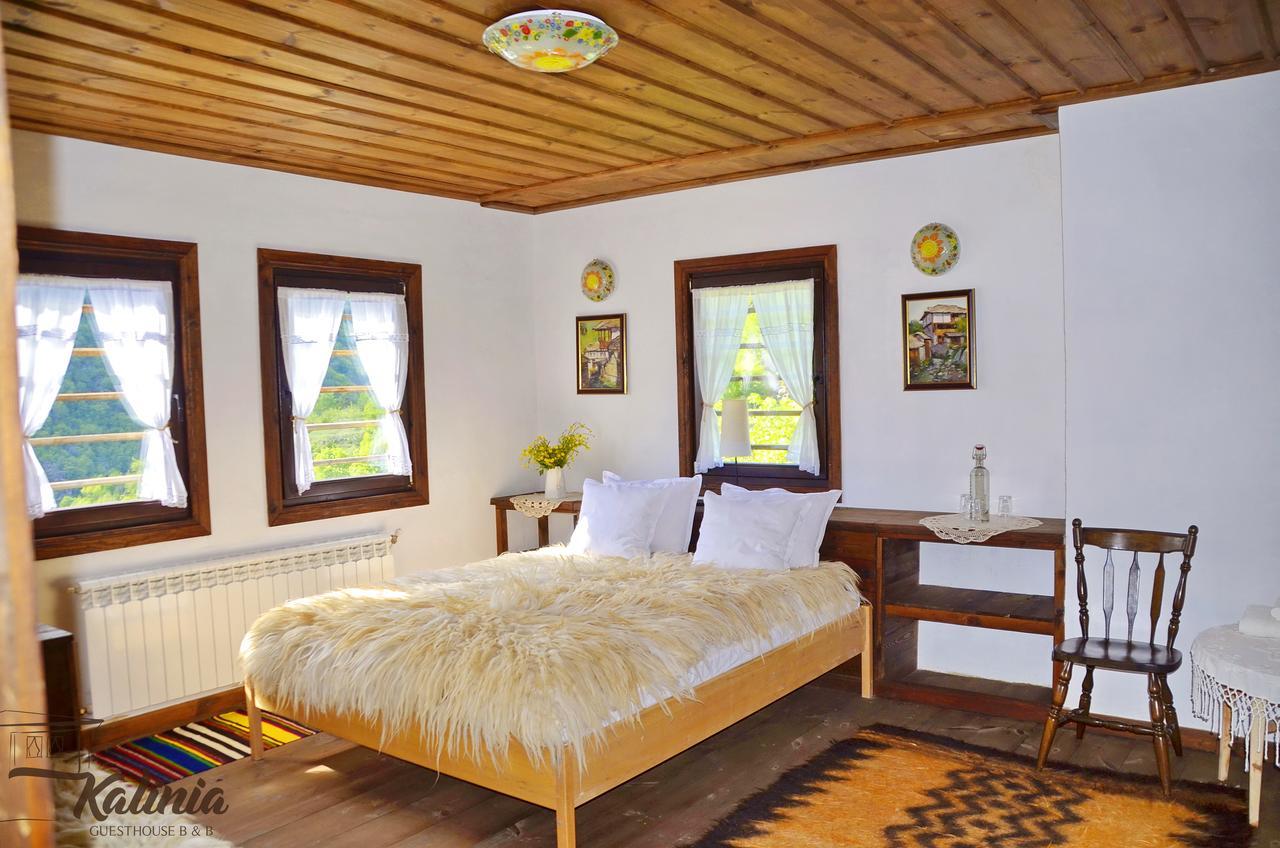 Kalinia Guesthouse B&B Kovacevica Exterior photo