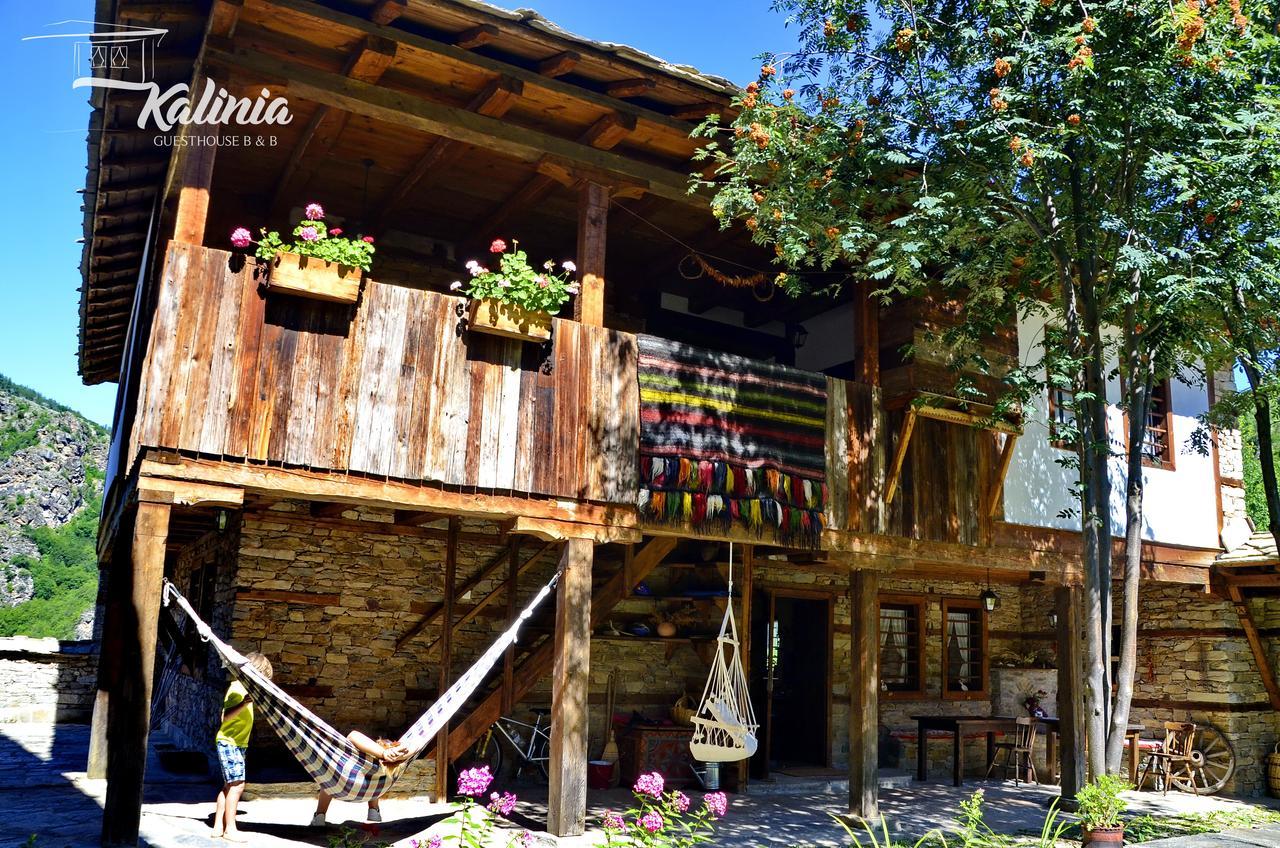 Kalinia Guesthouse B&B Kovacevica Exterior photo