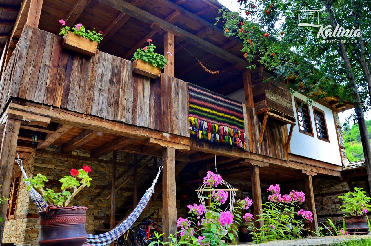 Kalinia Guesthouse B&B Kovacevica Exterior photo