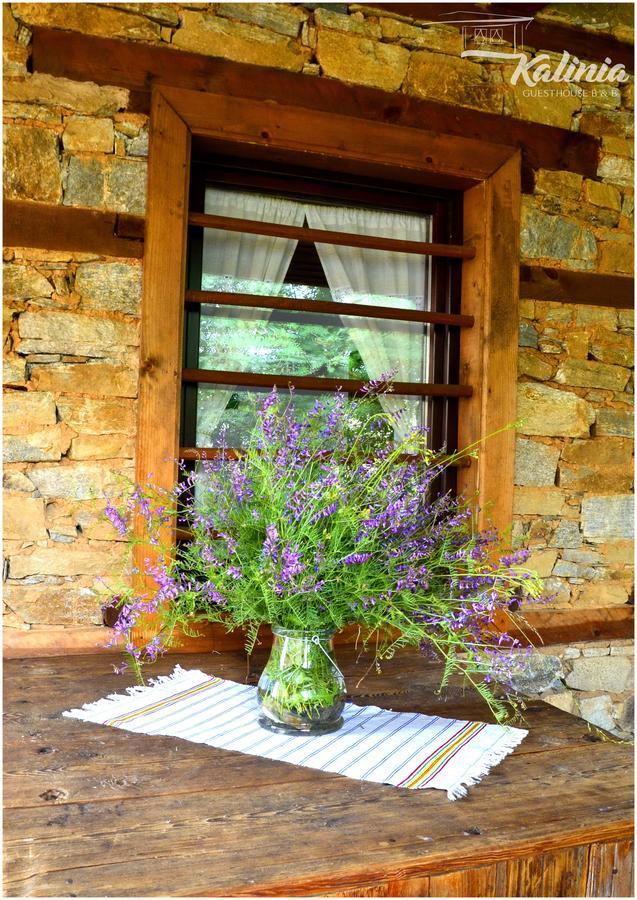 Kalinia Guesthouse B&B Kovacevica Exterior photo